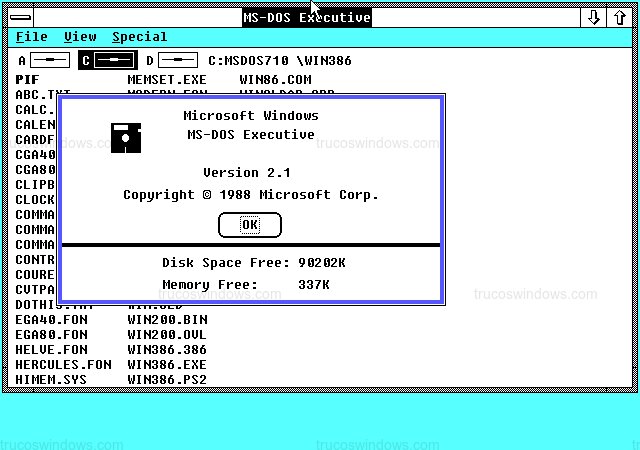 Ventana Información del Sistema de Windows 2.10