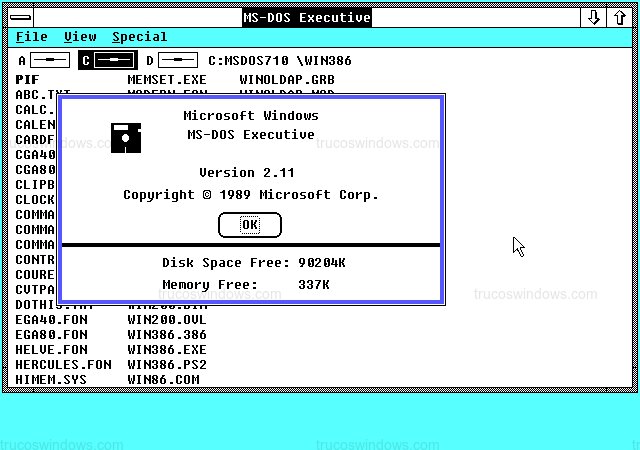 Ventana Información del Sistema de Windows 2.11
