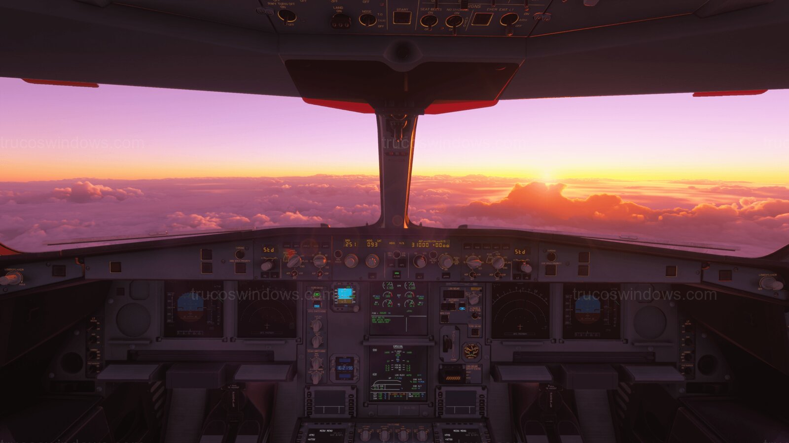 Vista desde la cabina