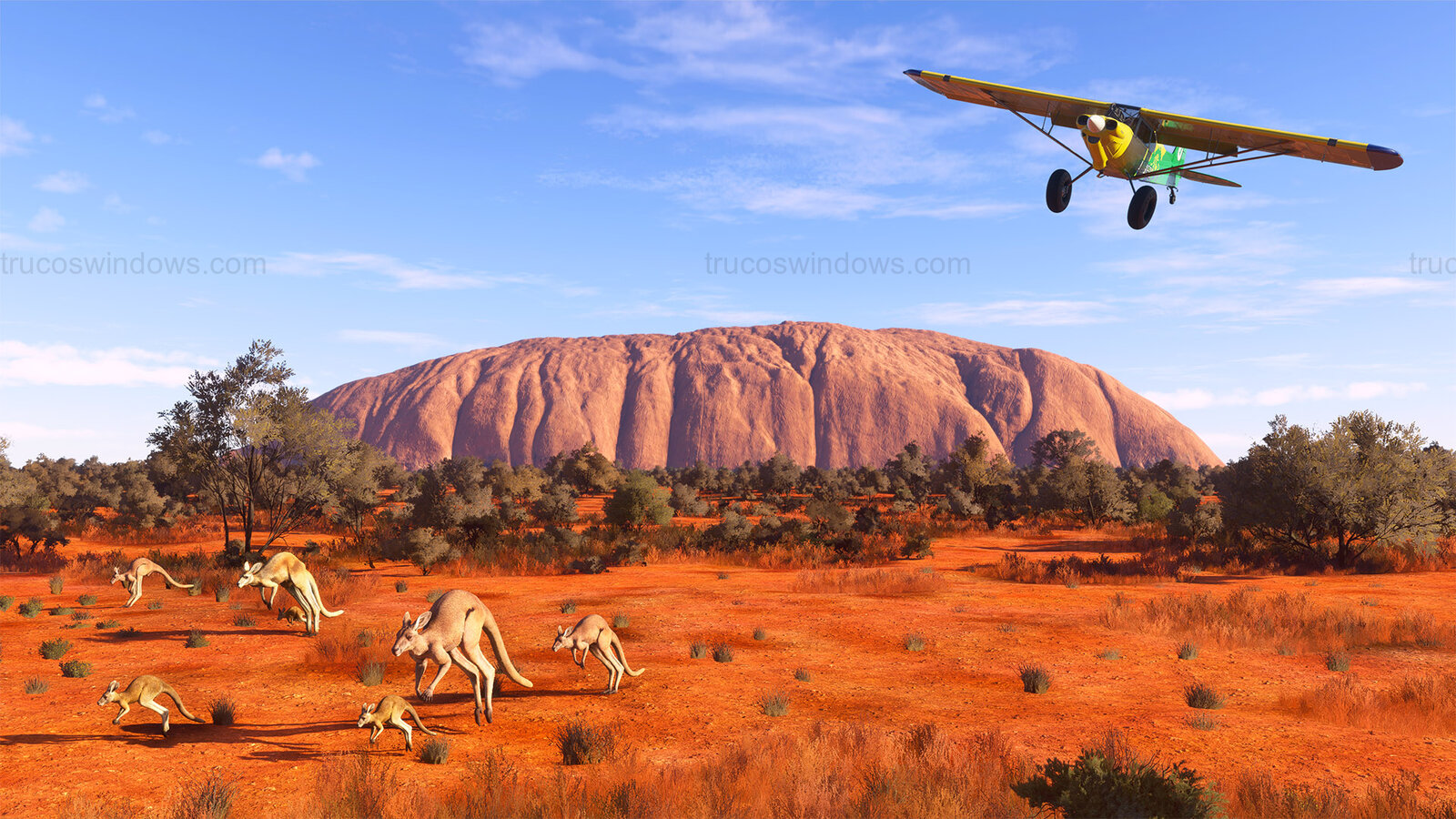 Flight Simulator Australia 2026