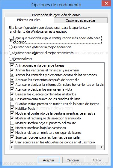 Panel Opciones de rendimiento