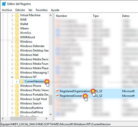 Editar RegisteredOwner y RegisteredOrganization