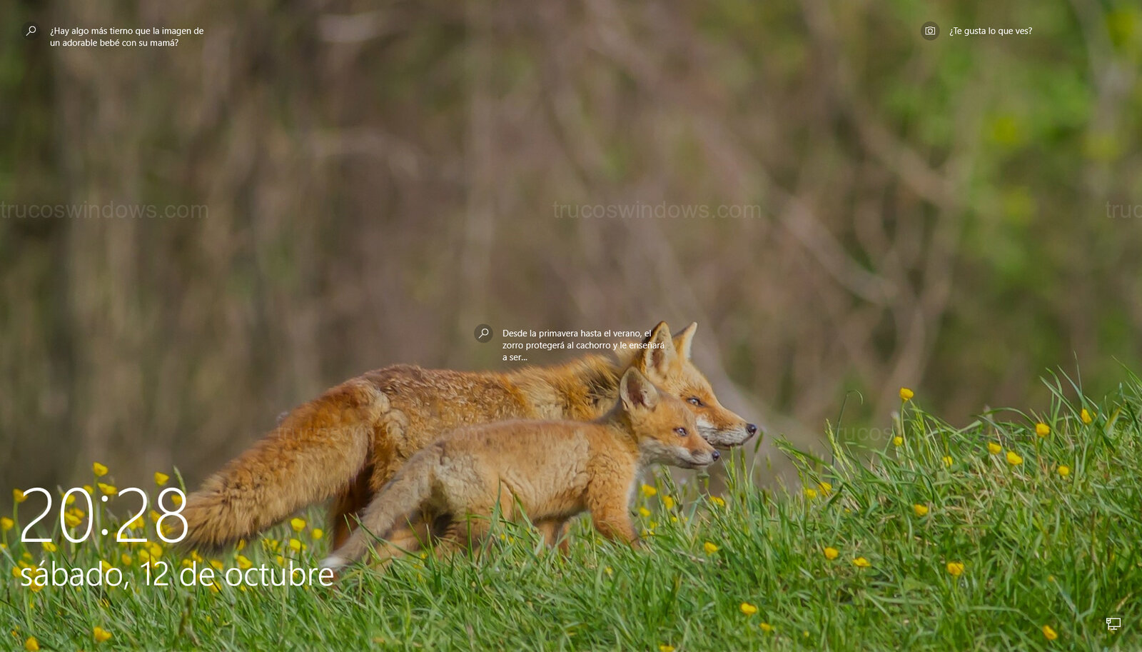 Personalización de bloqueo Personalización de bloqueo