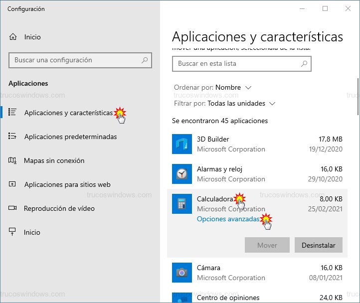Opciones avanzadas de aplicación Opciones avanzadas de aplicación