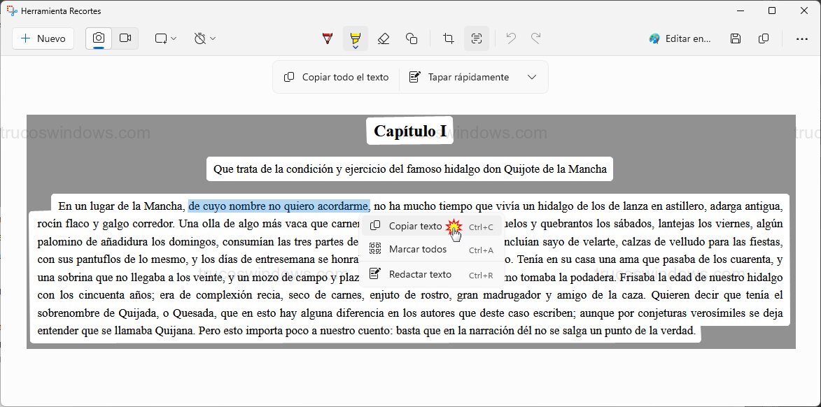 Selección parcial de texto