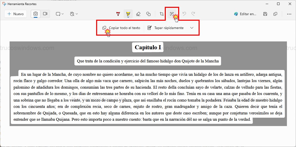 Función Copiar todo el texto