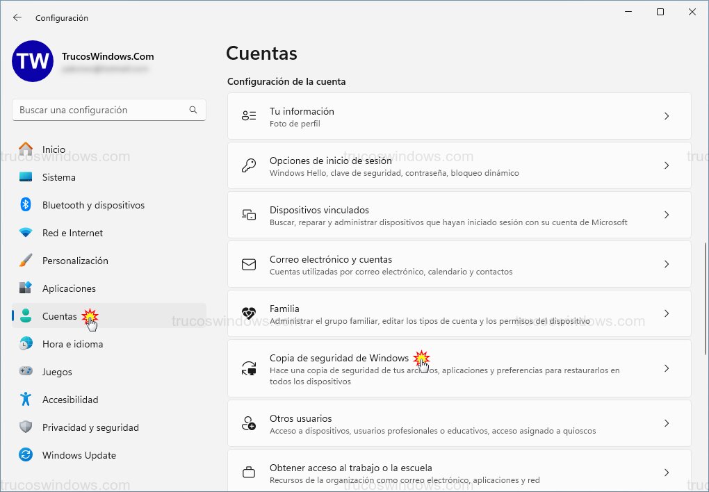 Panel de Copia de Seguridad Panel de Copia de Seguridad