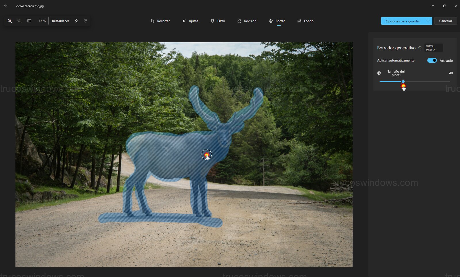 Uso del borrado rápido