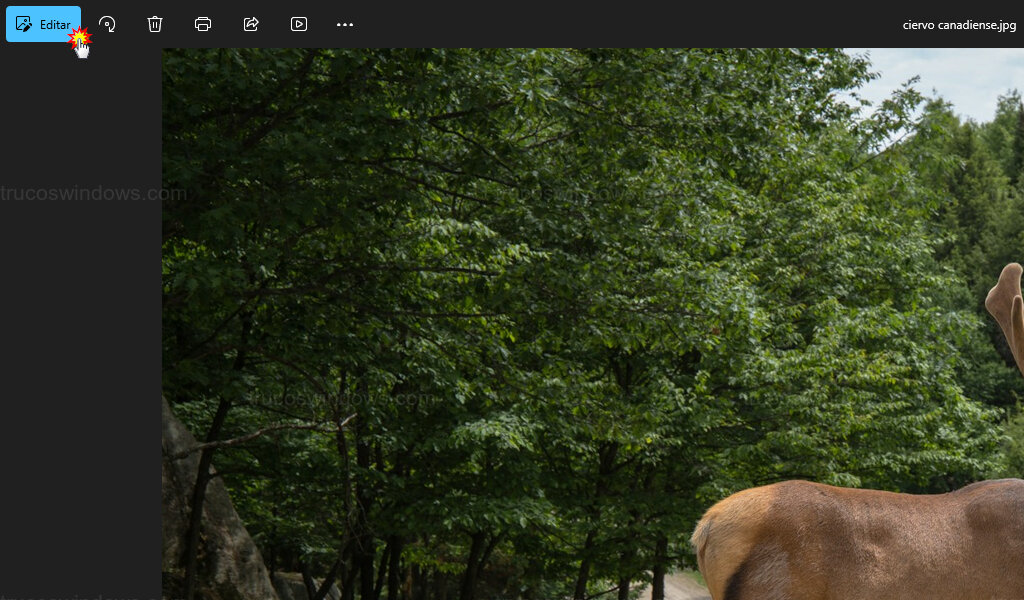 Botón Editar en Fotos