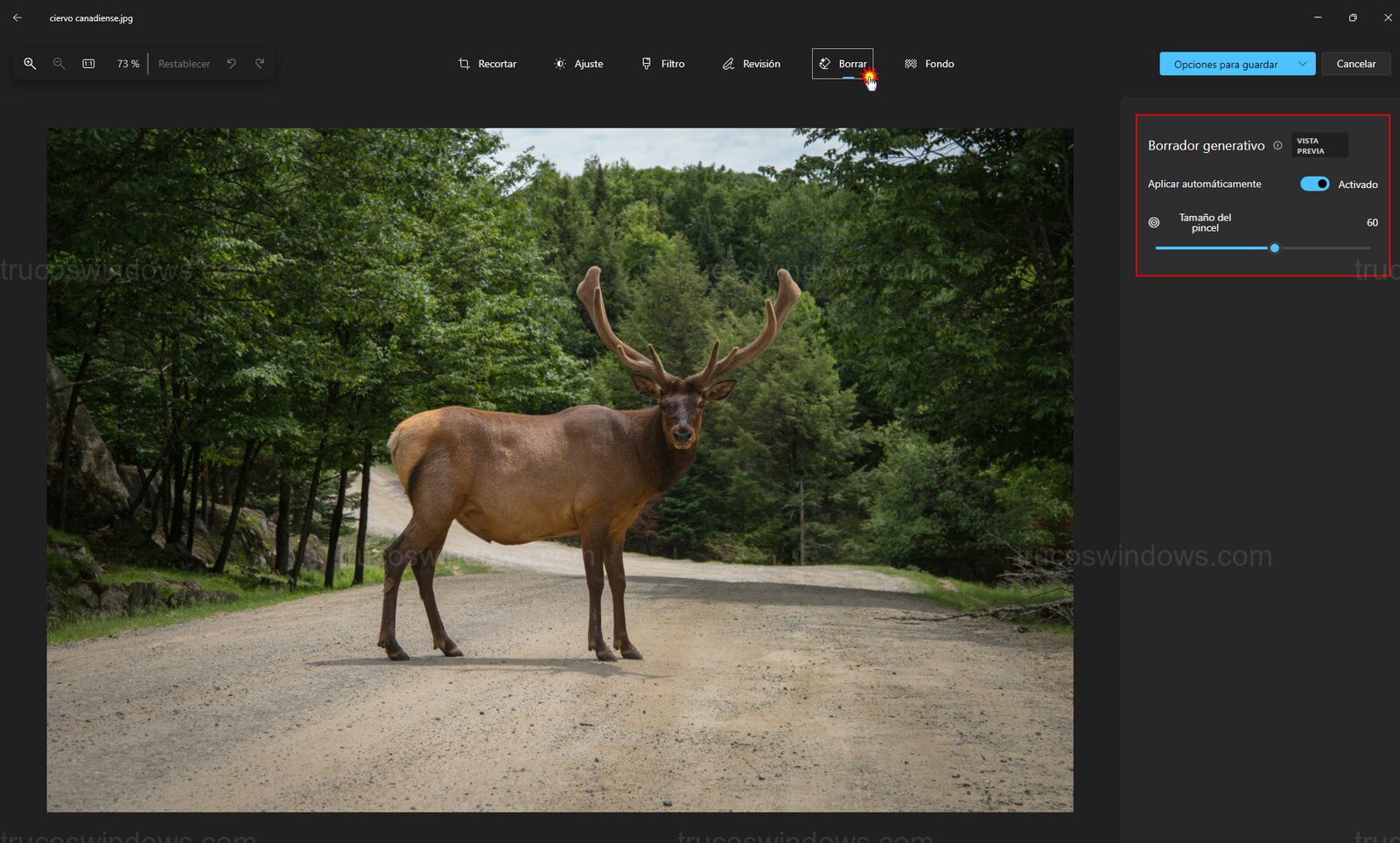 Seleccionar herramienta Borrar