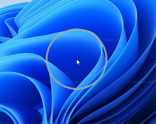 Resultado animación W11 Resultado animación W11