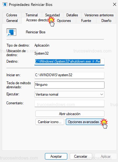 Opciones avanzadas de ejecución