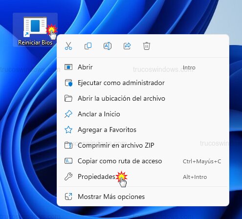 Propiedades del acceso directo