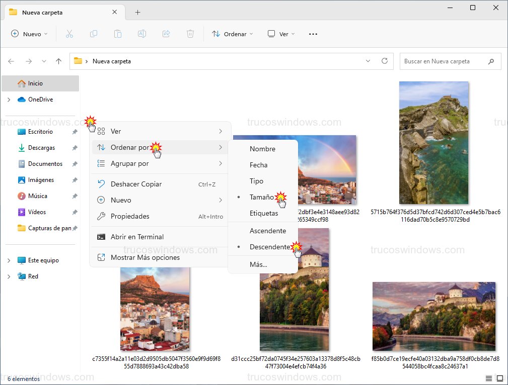 Previsualización de fondos extraídos