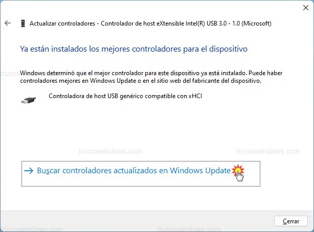 Confirmación y reintento en Windows Update