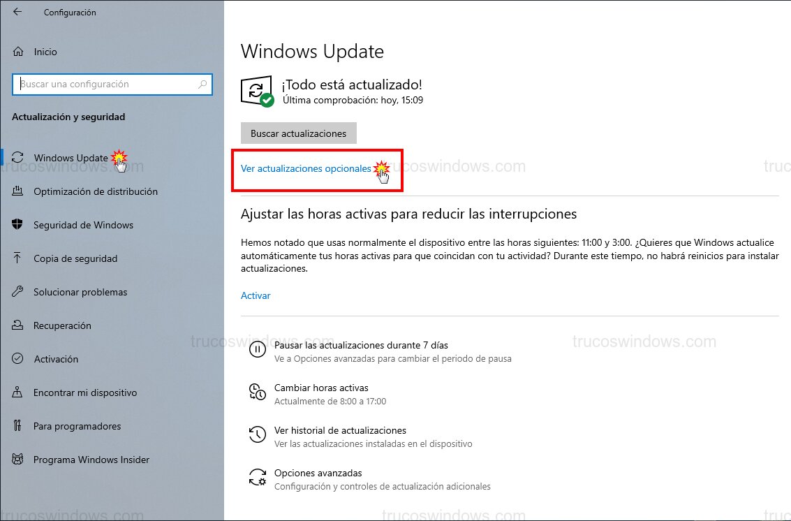 Actualizaciones opcionales W10