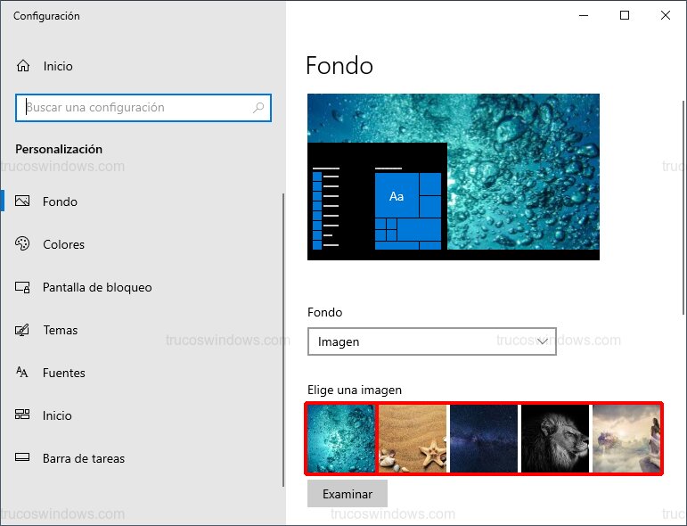 Panel de personalización de fondo Panel de personalización de fondo