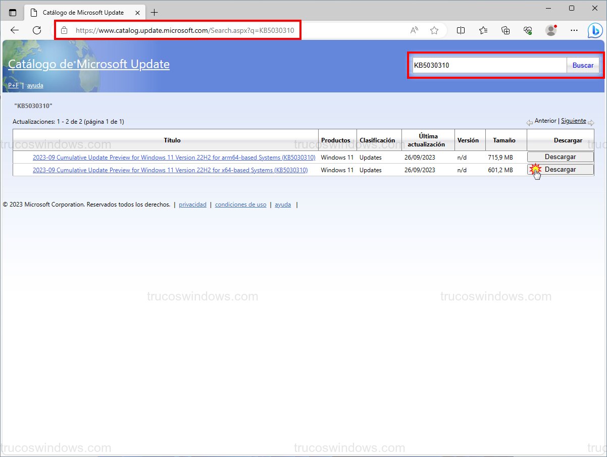 Catálogo Microsoft Update KB5030310