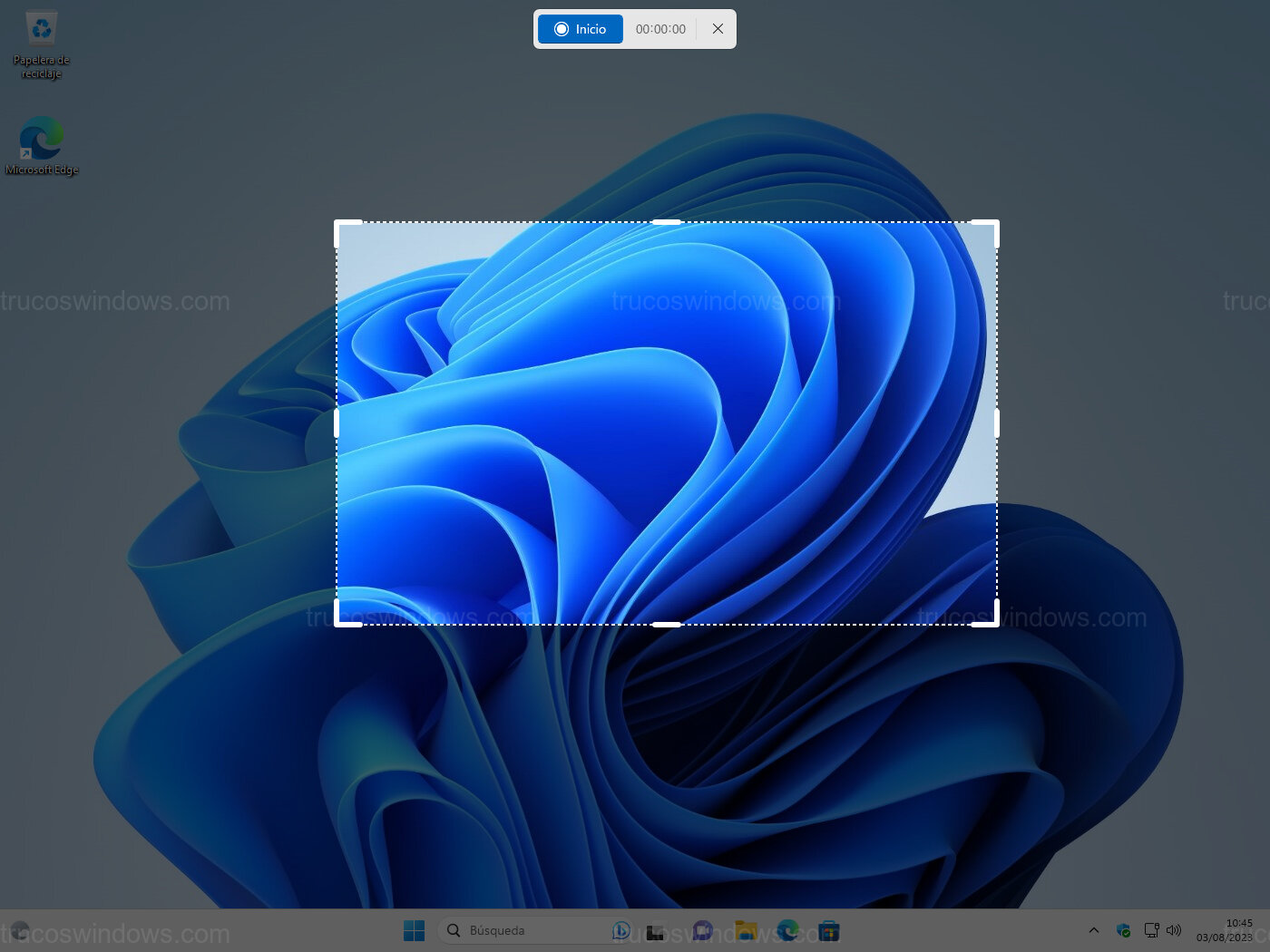 Selección del área de captura Selección del área de captura