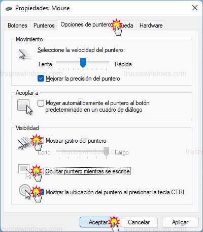 Visibilidad del puntero Visibilidad del puntero