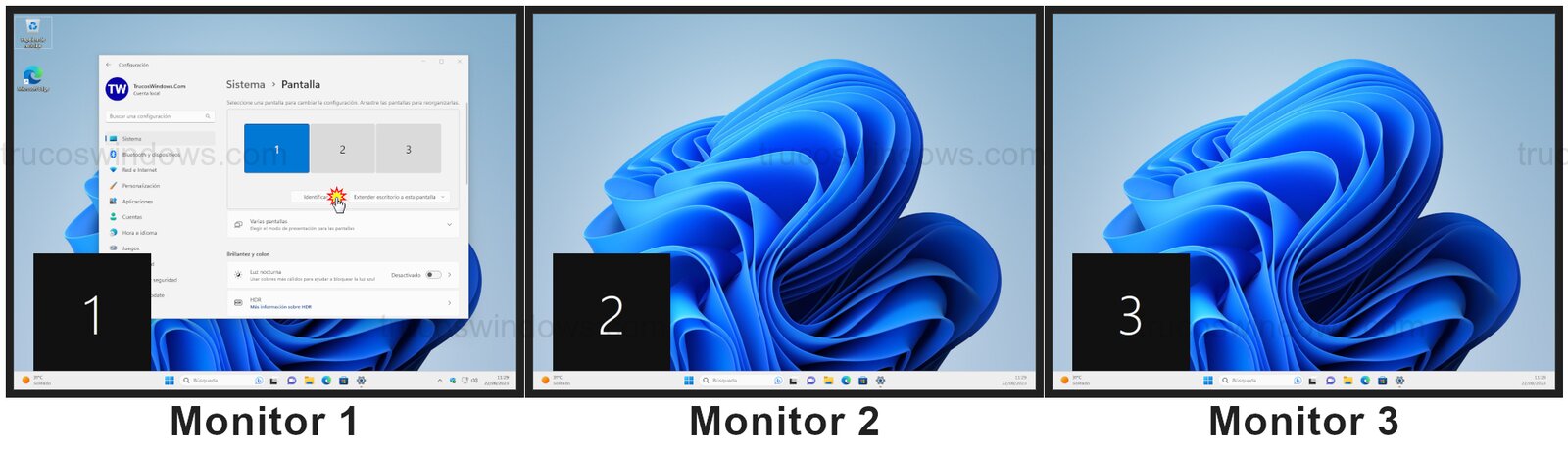 Identificar monitores físicos