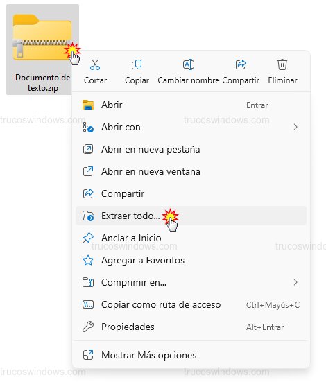 Extraer archivos Windows 11 Extraer archivos Windows 11
