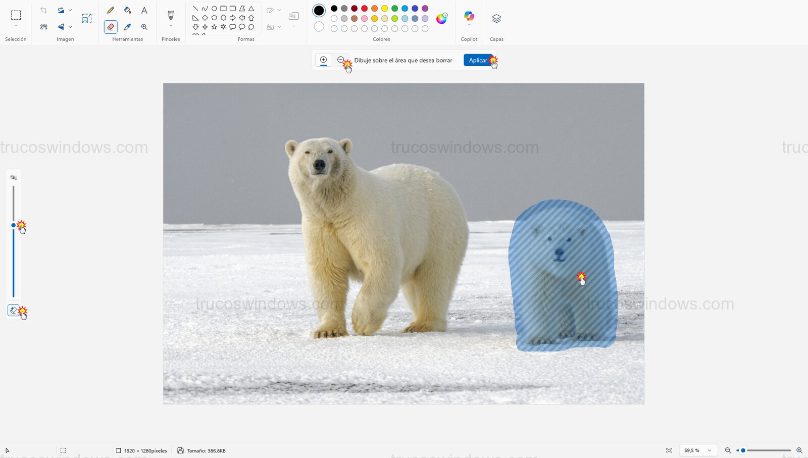 Aplicar borrado objeto