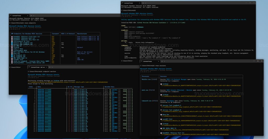 Windows MIDI Console Diagnostico